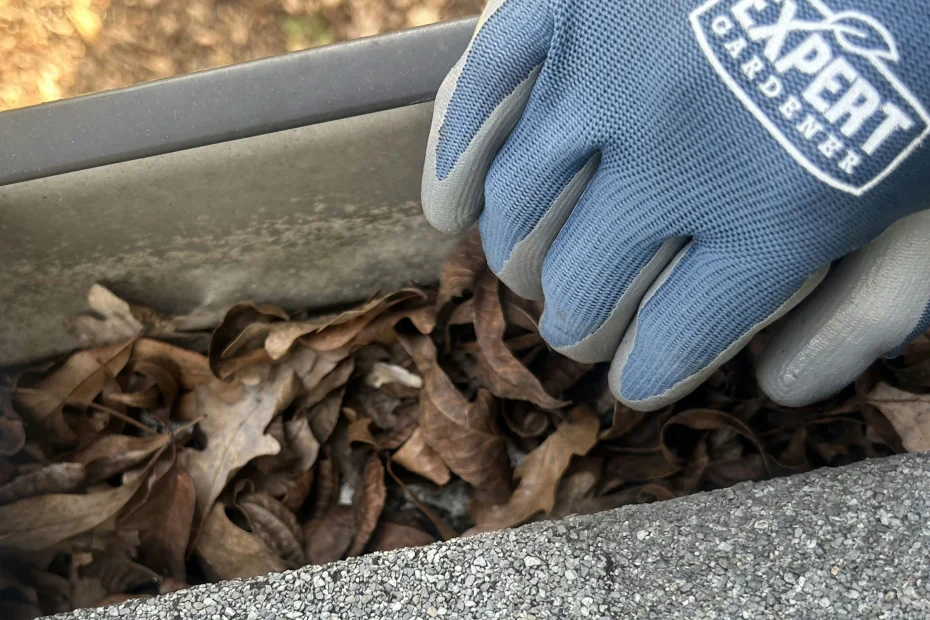 Shongaloo Gutter Cleaning