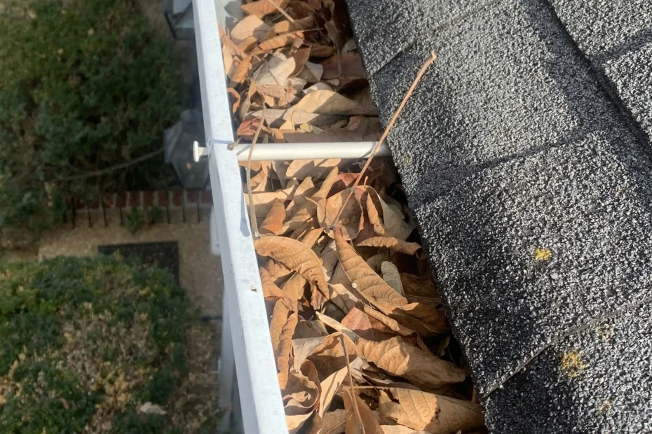 Shongaloo Gutter Cleaning