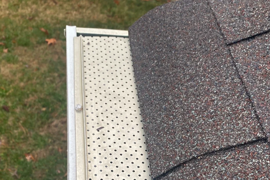 Shongaloo Gutter Cleaning